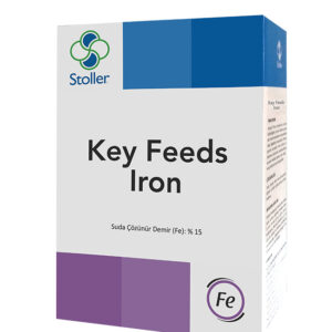 KEY FEEDS IRON