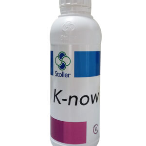 K-NOW