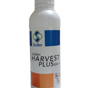GOLDEN HARVEST PLUS GA