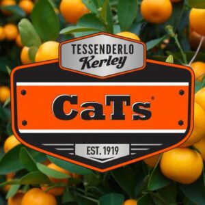 CaTs | Kalsiyum Tiyosülfat  0-0-0-10S-6Ca