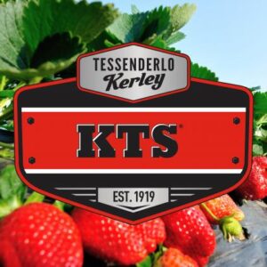 KTS | Potasyum Tiyosülfat  0-0-25-17S