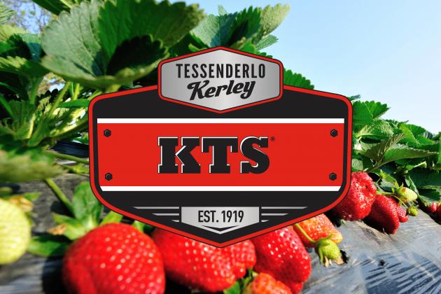 KTS | Potasyum Tiyosülfat 0-0-25-17S