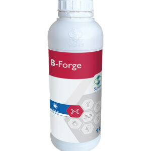 B-FORGE