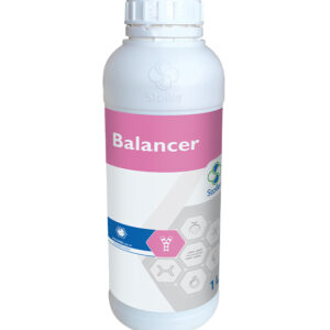 BALANCER