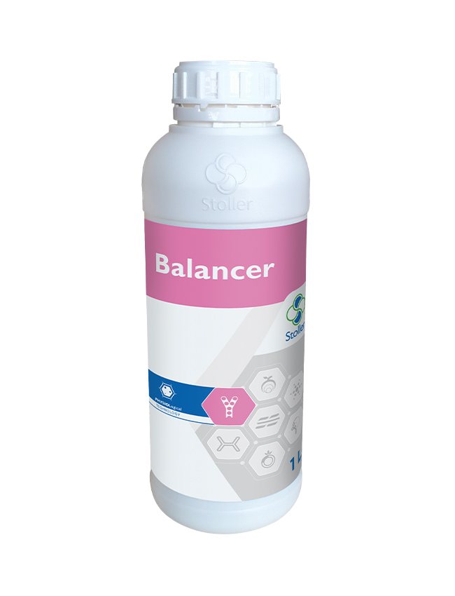 Stoller_Balancer