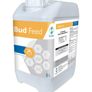 BUD FEED