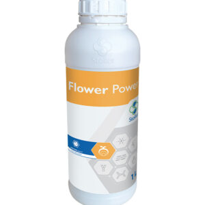 FLOWER POWER